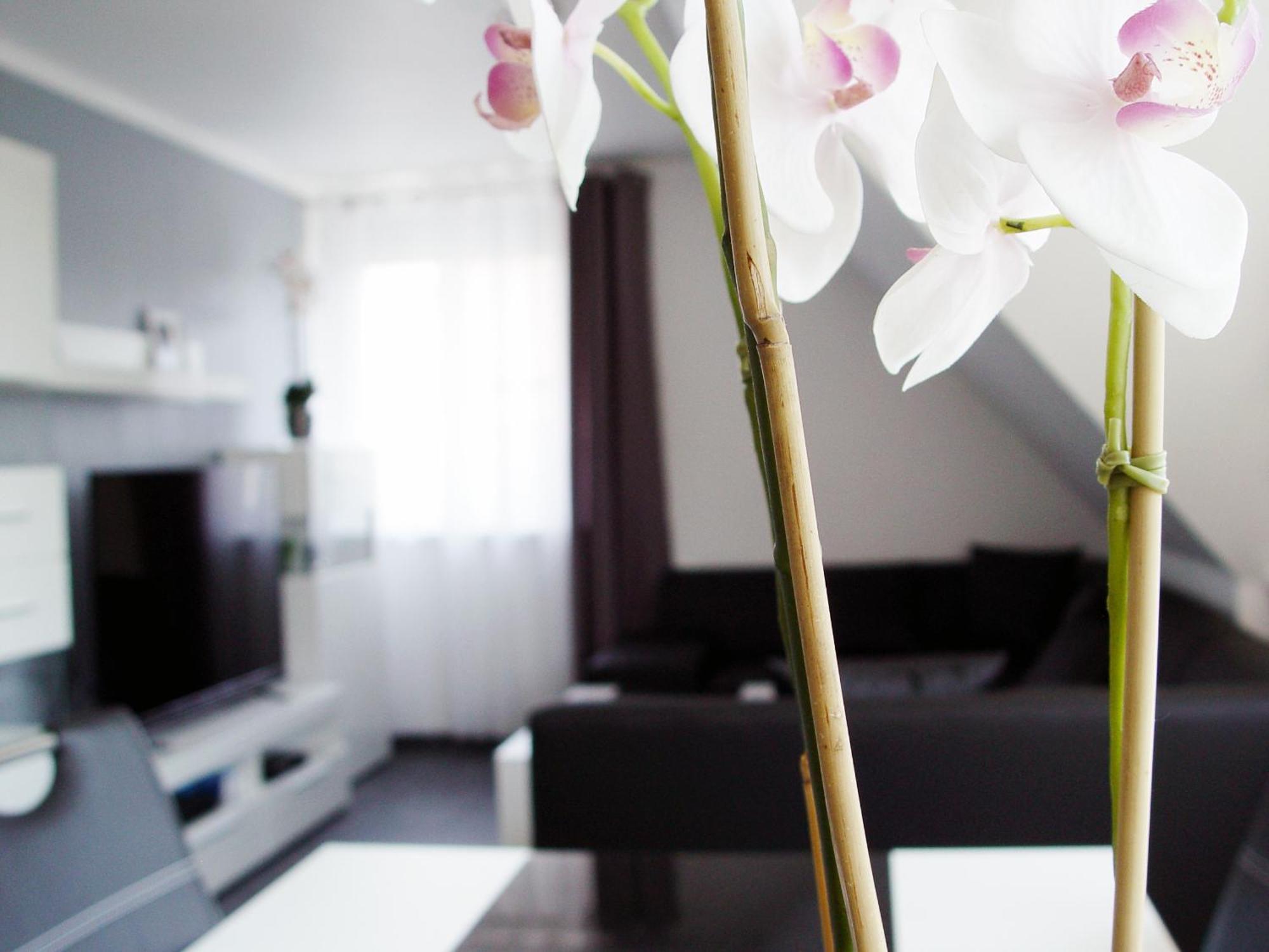 Апартаменты La Domus Premium Lotte Экстерьер фото